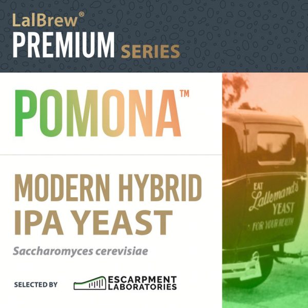 Pomona Hybrid IPA Yeast x 11g